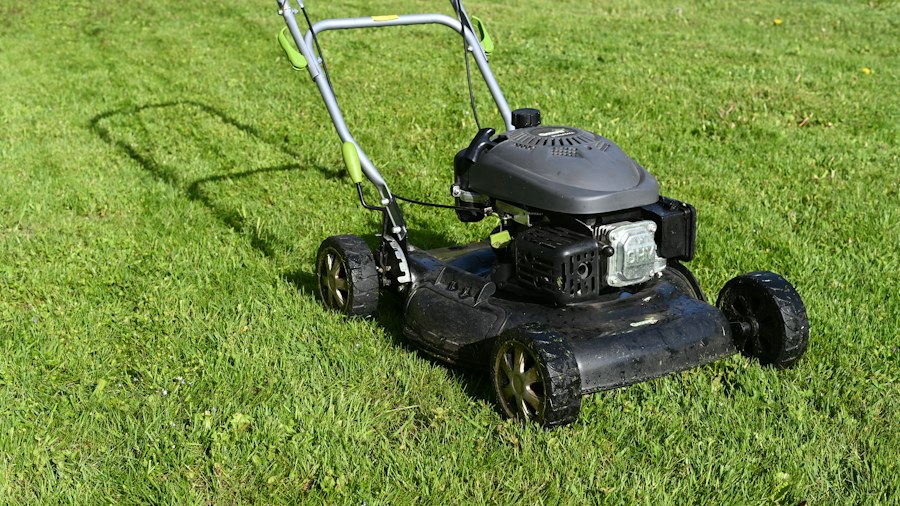 Græsslåning